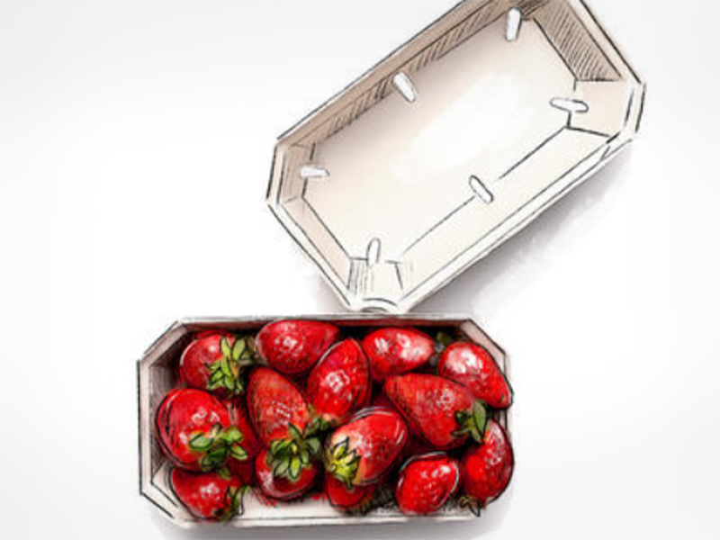 Berries-TN