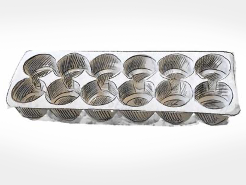 Promo-trays-TN